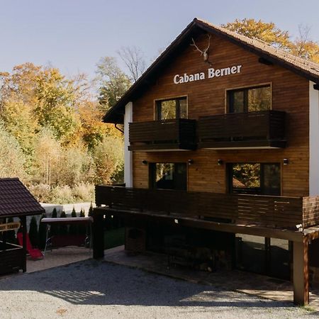 Cabana Berner Statiunea Mogosa Бая-Сприе Екстериор снимка